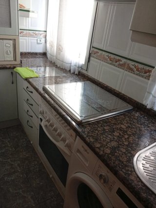 Autónoma profesional de limpieza