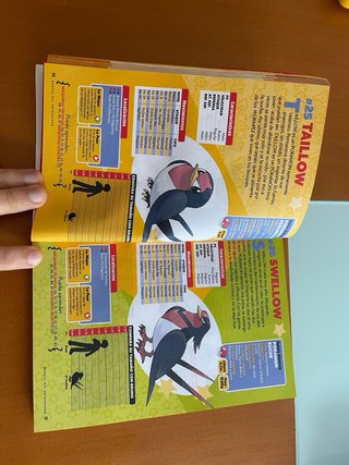 Manual Entrenador Pokémon Rubí y Zafiro