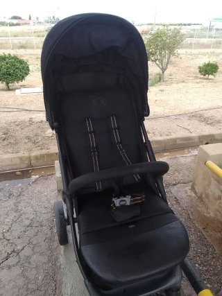 Carrito de paseo negro