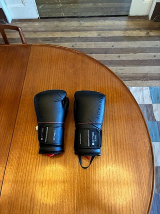 Luvas de Boxe 14OZ