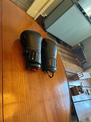 Luvas de Boxe 14OZ