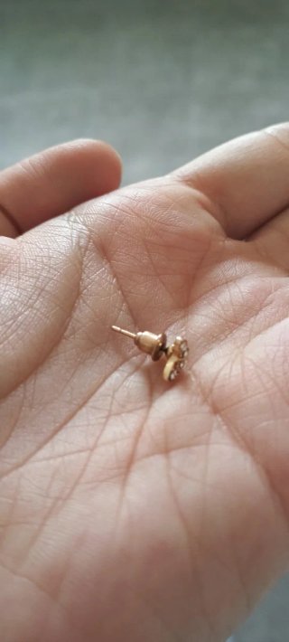 Pendiente mariposa con pedrería