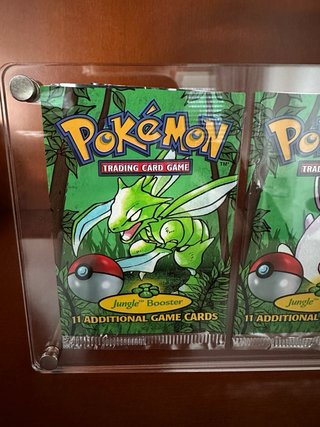 Sobres Pokémon Jungle vacíos + Expositor decorativ
