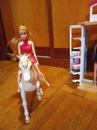 Casa Barbie con bambola e accessori