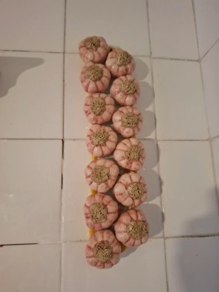 Figura de ajos de cerámica