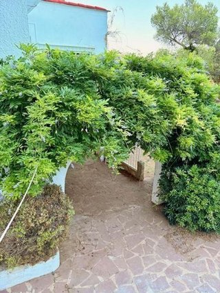 Chalet en venta en Plaça Eliptica-Republica Argentina-Germanies en Gandia