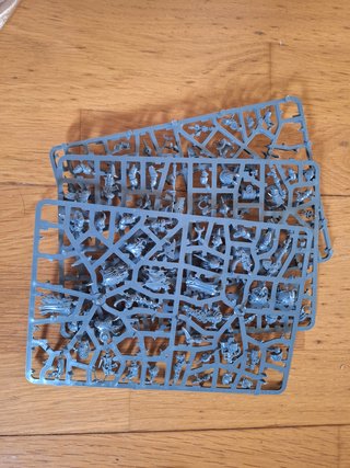 Gran cantidad de restos matrices Death Guard