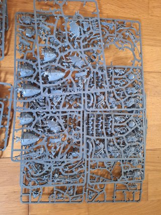 Gran cantidad de restos matrices Death Guard