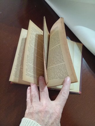 Libro antiguo. Memorias de una doncella. 1901