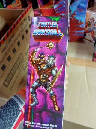 Masters of the Universe x TMNT 2-Bopsteady