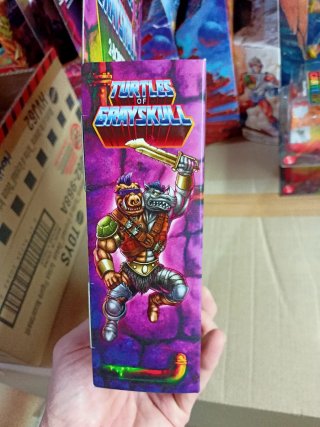 Masters of the Universe x TMNT 2-Bopsteady