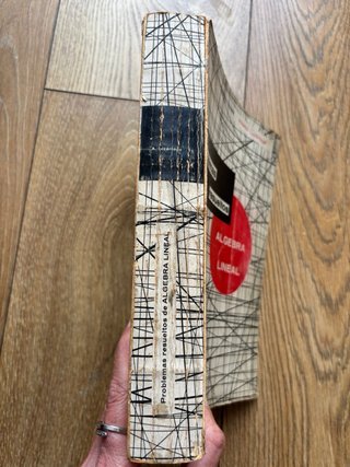 Libro problemas resueltos de algebra lineal