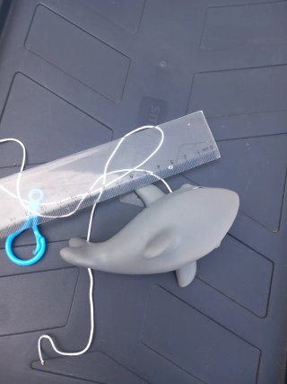 Tiburón de buceo con cuerda y clip