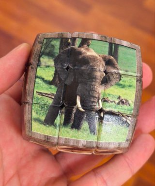 RUBIK 3X3 V-Cube ANIMALES