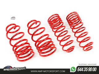 MUELLES DEPORTIVOS MTS TECHNIK MTSXFO070