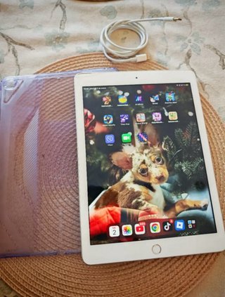 iPad 5ª Gen 128GB Blanco (2017)