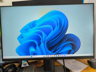 Monitor Dell P2319H Negro (incl. cable HDMI)
