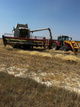 Cosechadora Claas Lexion 420