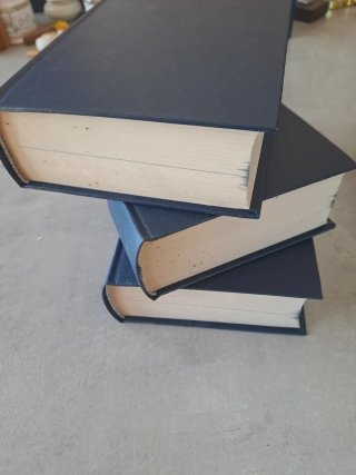 Tris Dizionari Garzanti Francese Italiano Inglese
