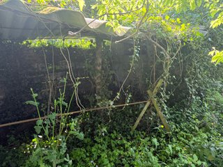 Madera y restos de estructura de cobertizo