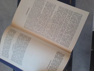 Enciclopedia "I Dieci Garzanti" - Collezione 1976