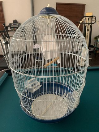 Jaula para pájaros grandes