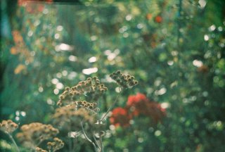 Cámara Zenit 122 analógica vintage
