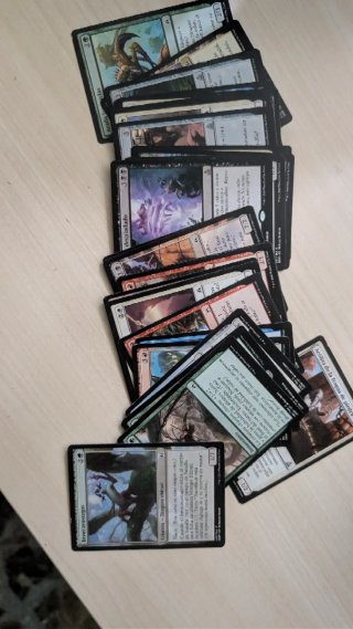 Cajas y cartas Magic The Gathering
