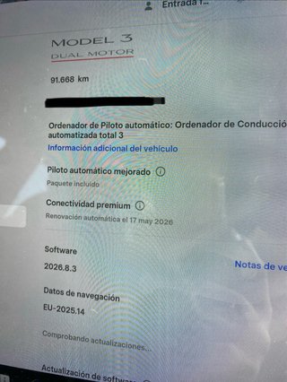 Tesla Model 3 Performance 513cv