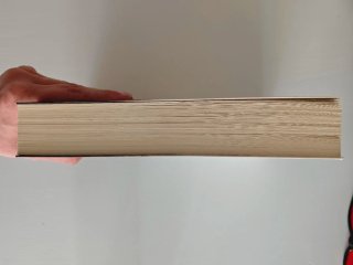 Libro "El cuco de cristal" de Javier Castillo