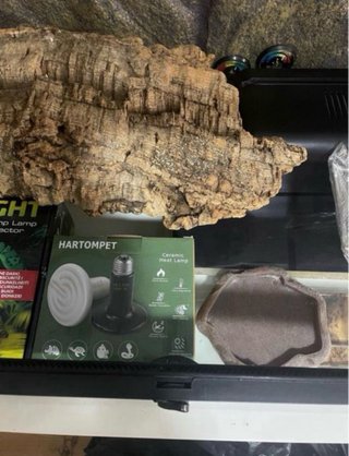 Terrario Exo Terra 90x45x45