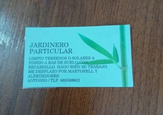 Jardinero particular