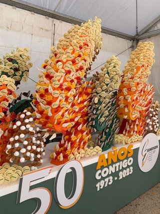 Algun camarero q sea autonomo q este diponible ??