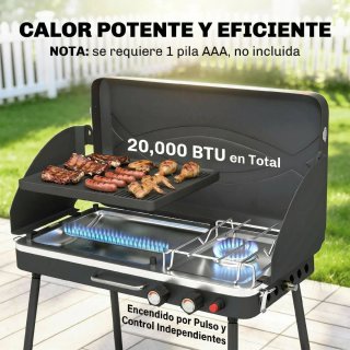 Barbacoa Gas Portátil 2 en 1 Propano 7 kW