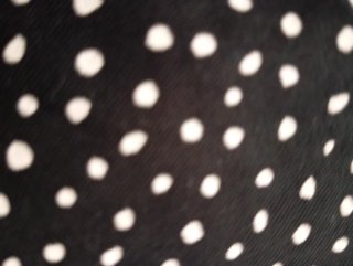 Pantalón corto con lunares