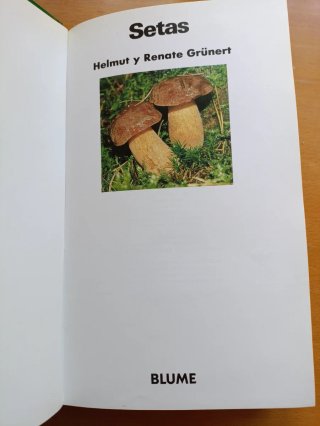 Libro setas. Guia naturaleza