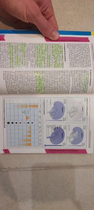 Anestesia. Texto y Atlas 4a.Ed.: Anestesia Text...