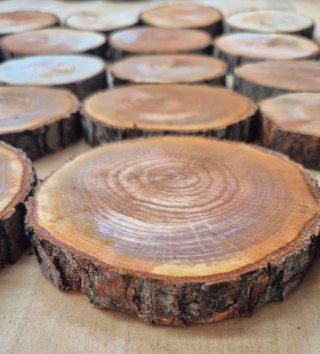 Set 32 fette di legno grezzo