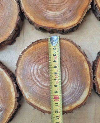 Set 32 fette di legno grezzo