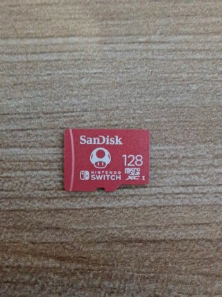 NINTENDO SWITCH LITE + ACCESSORI