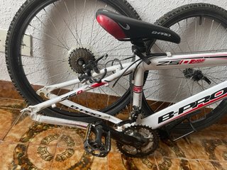 Bicicleta B-PRO ZS1
