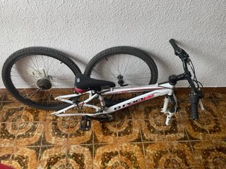 Bicicleta B-PRO ZS1
