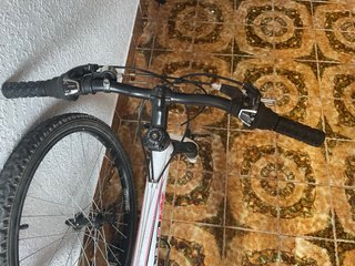 Bicicleta B-PRO ZS1
