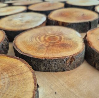 Set 39 fette di legno