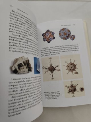 C'è spazio per tutti libro Odifreddi