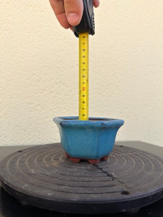 Maceta de cerámica para bonsái