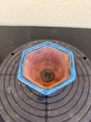 Maceta de cerámica para bonsái