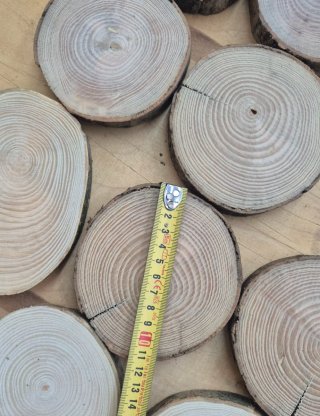 Set 36 dischi legno grezzo