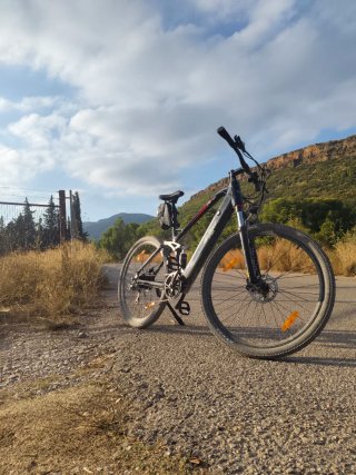 Bici Eléctrica 29 Doble Amortiguador
