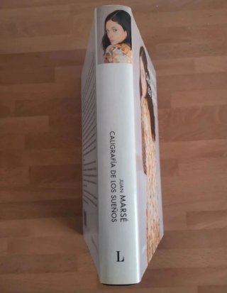 Caligrafía de los sueños (Spanish Edition)